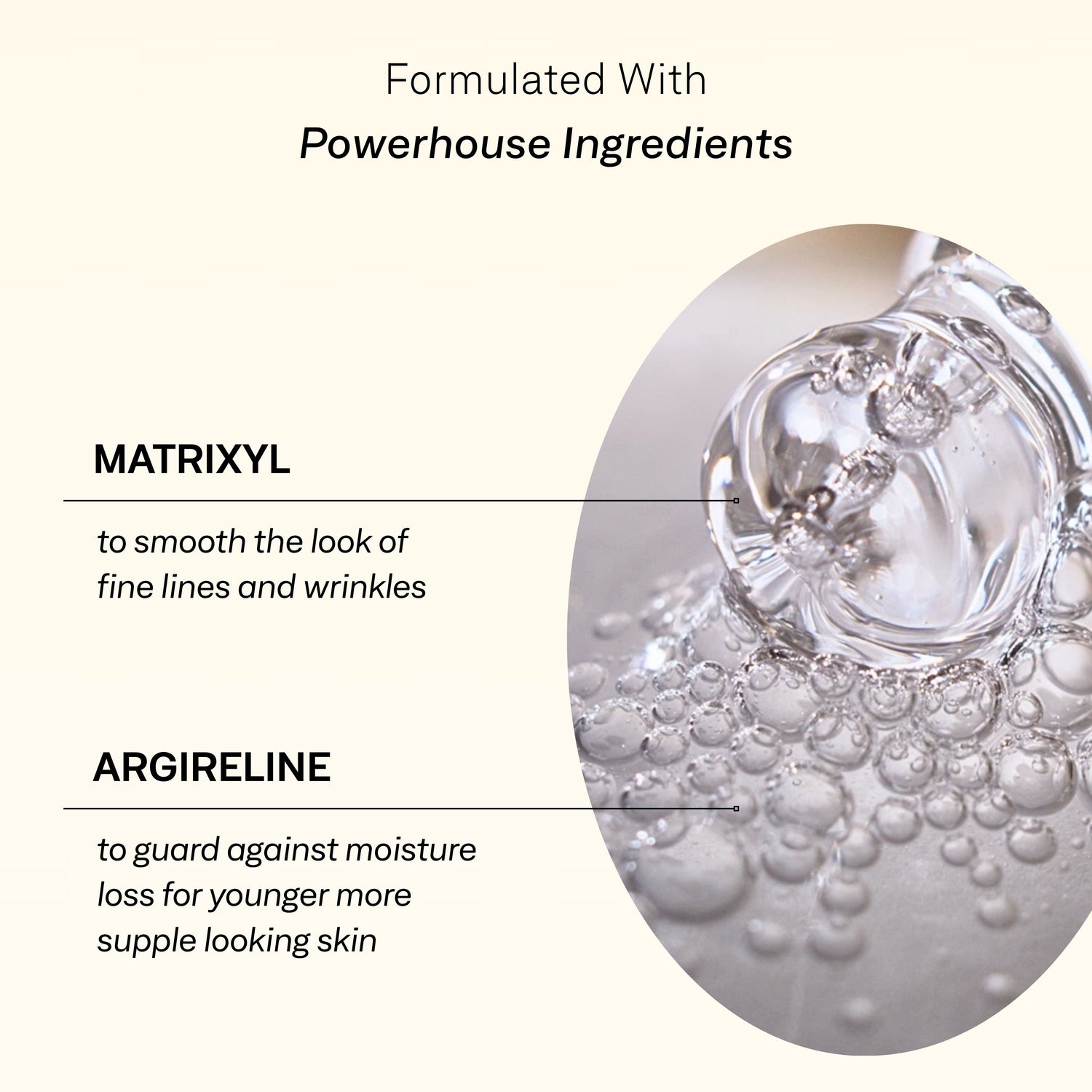 Peptide Concentrate - 10-Pack